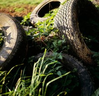 廢棄垃圾污染環(huán)境圖片