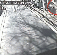 煙頭扔進垃圾桶導致起火，公交車司機見義勇為獲點贊