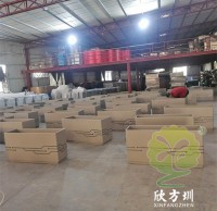 為什么現在的人喜歡選擇不銹鋼花盆呢？